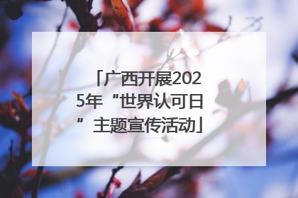 广西开展2025年“世界认可日”主题宣传活动