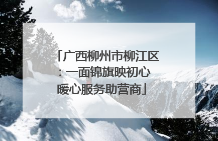 广西柳州市柳江区：一面锦旗映初心 暖心服务助营商