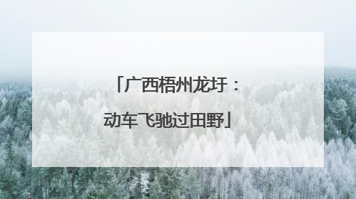 广西梧州龙圩：动车飞驰过田野