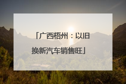 广西梧州：以旧换新汽车销售旺