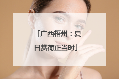 广西梧州：夏日赏荷正当时