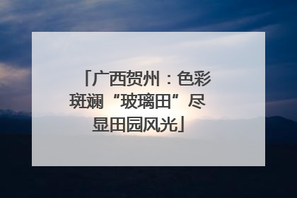 广西贺州：色彩斑斓“玻璃田”尽显田园风光
