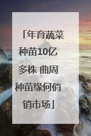 年育蔬菜种苗10亿多株 曲周种苗缘何俏销市场