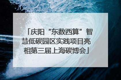 庆阳“东数西算”智慧低碳园区实践项目亮相第三届上海碳博会