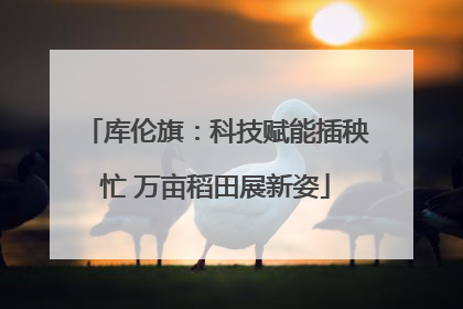 库伦旗：科技赋能插秧忙 万亩稻田展新姿