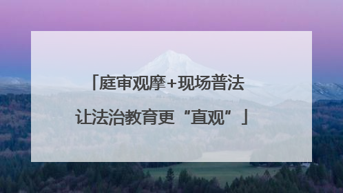 庭审观摩+现场普法 让法治教育更“直观”