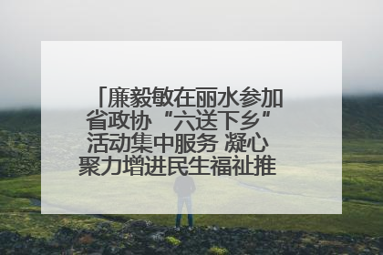 廉毅敏在丽水参加省政协“六送下乡”活动集中服务 凝心聚力增进民生福祉推进共同富裕