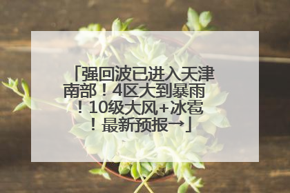 强回波已进入天津南部！4区大到暴雨！10级大风+冰雹！最新预报→