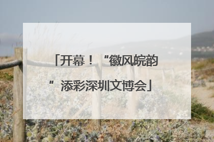 开幕！“徽风皖韵”添彩深圳文博会