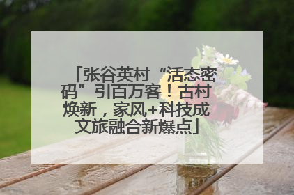 张谷英村“活态密码”引百万客！古村焕新，家风+科技成文旅融合新爆点