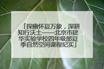 探幽怀夏万象，深耕知行沃土——北京市建华实验学校四年级部夏季自然空间课程纪实