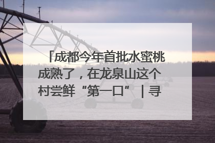 成都今年首批水蜜桃成熟了，在龙泉山这个村尝鲜“第一口”｜寻找和美乡村推荐官