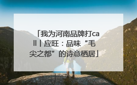 我为河南品牌打call丨应旺：品味“毛尖之都”的诗意栖居