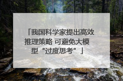 我国科学家提出高效推理策略 可避免大模型“过度思考”