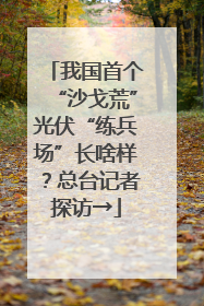 我国首个“沙戈荒”光伏“练兵场”长啥样？总台记者探访→
