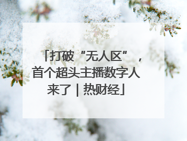 打破“无人区”，首个超头主播数字人来了｜热财经