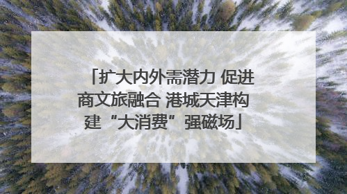 扩大内外需潜力 促进商文旅融合 港城天津构建“大消费”强磁场