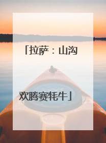 拉萨：山沟欢腾赛牦牛