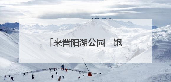 来晋阳湖公园一饱眼福吧！12万株百合花热烈绽放……