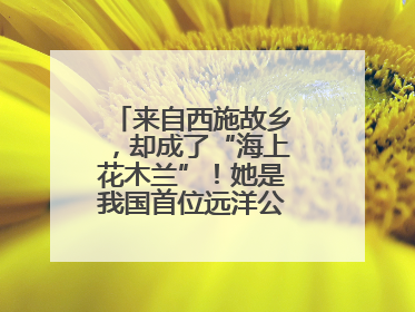 来自西施故乡，却成了“海上花木兰”！她是我国首位远洋公务船女船长