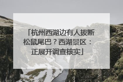 杭州西湖边有人拔断松鼠尾巴？西湖景区：正展开调查核实