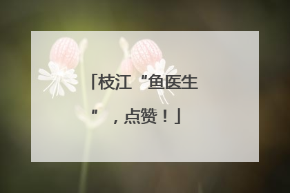 枝江“鱼医生”，点赞！