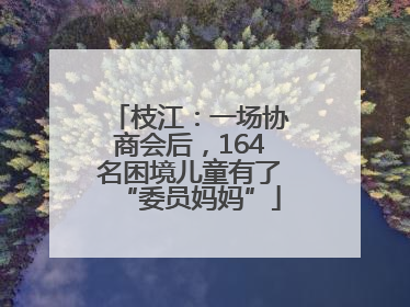 枝江：一场协商会后，164名困境儿童有了“委员妈妈”