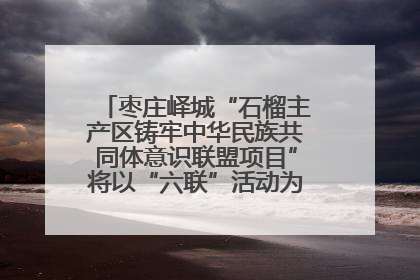 枣庄峄城“石榴主产区铸牢中华民族共同体意识联盟项目”将以“六联”活动为抓手深化品牌建设