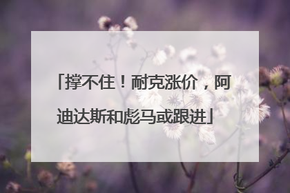 撑不住！耐克涨价，阿迪达斯和彪马或跟进