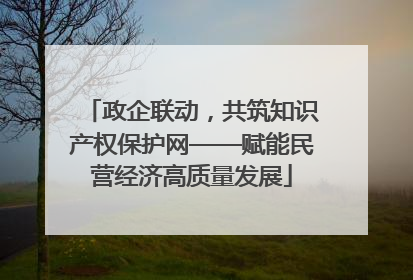 政企联动，共筑知识产权保护网——赋能民营经济高质量发展