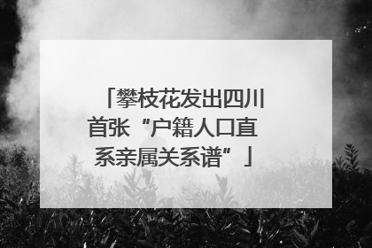 攀枝花发出四川首张“户籍人口直系亲属关系谱”