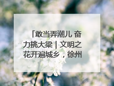 敢当弄潮儿 奋力挑大梁｜文明之花开遍城乡，徐州以昂扬风貌冲刺“万亿之城”