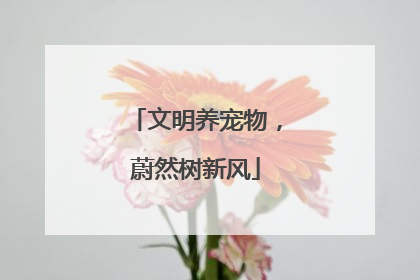 文明养宠物，蔚然树新风