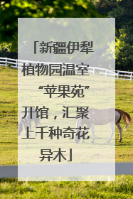 新疆伊犁植物园温室“苹果苑”开馆，汇聚上千种奇花异木