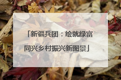 新疆兵团：绘就绿富同兴乡村振兴新图景