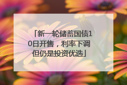 新一轮储蓄国债10日开售，利率下调但仍是投资优选