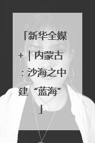 新华全媒+｜内蒙古：沙海之中建“蓝海”
