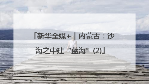 新华全媒+｜内蒙古：沙海之中建“蓝海”(2)