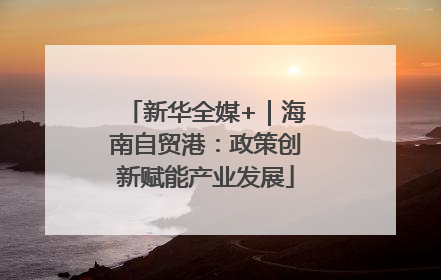 新华全媒+｜海南自贸港：政策创新赋能产业发展