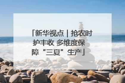 新华视点｜抢农时 护丰收 多维度保障“三夏”生产