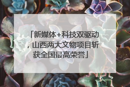 新媒体+科技双驱动，山西两大文物项目斩获全国最高荣誉