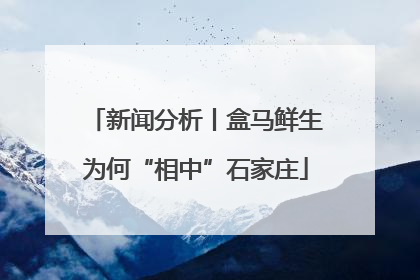 新闻分析丨盒马鲜生为何“相中”石家庄