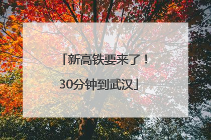 新高铁要来了！30分钟到武汉
