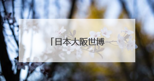 日本大阪世博会中国馆河北活动周精彩启幕