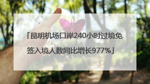 昆明机场口岸240小时过境免签入境人数同比增长977%