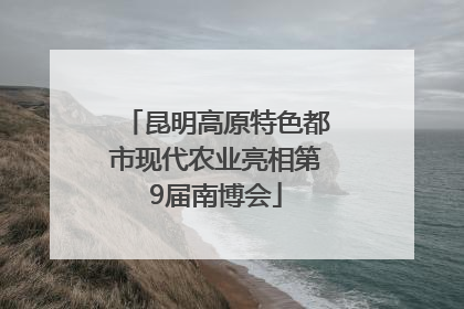 昆明高原特色都市现代农业亮相第9届南博会
