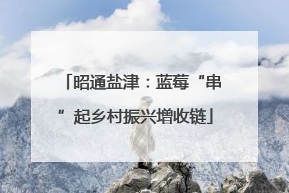 昭通盐津：蓝莓“串”起乡村振兴增收链