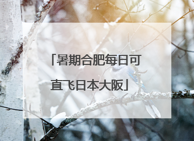暑期合肥每日可直飞日本大阪