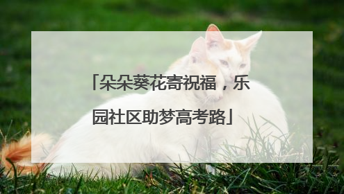朵朵葵花寄祝福，乐园社区助梦高考路