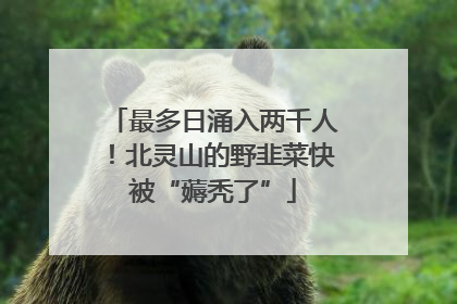 最多日涌入两千人！北灵山的野韭菜快被“薅秃了”